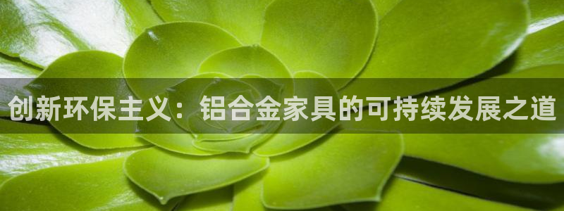 沐鸣2平台服务中心怎么样