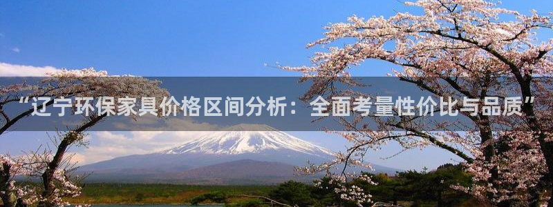 沐鸣2平台官网网址：“辽宁环保家具价格区间分析：全面考量性价