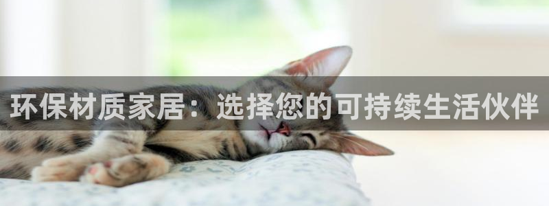 沐鸣2测速注册：环保材质家居：选择您的可持续生活伙伴