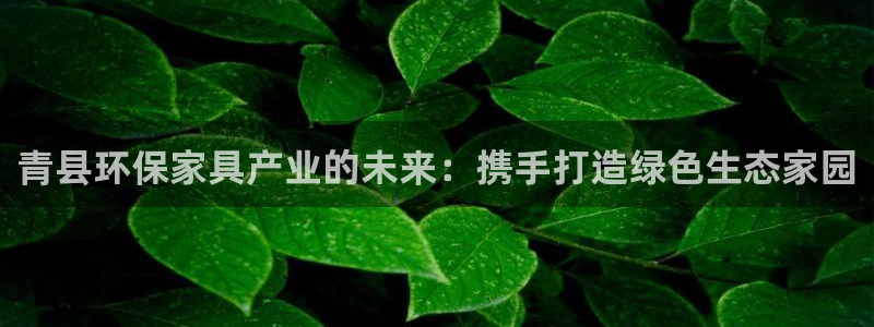 沐鸣2代理日工资多少