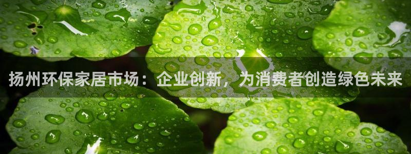 沐鸣2网址官网：扬州环保家居市场：企业创新，为消费者创造绿色