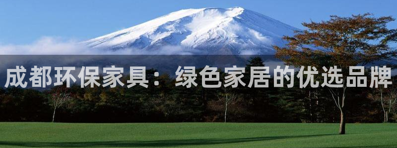 沐鸣2平台线路测试：成都环保家具：绿色家居的优选品牌