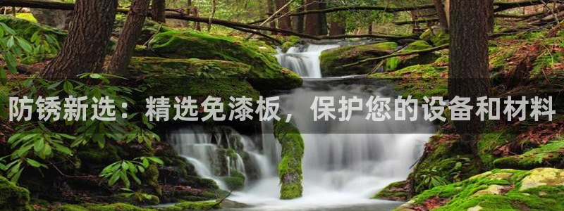 沐鸣2平台登录网址是什么：防锈新选：精选免漆板，保护您的设备