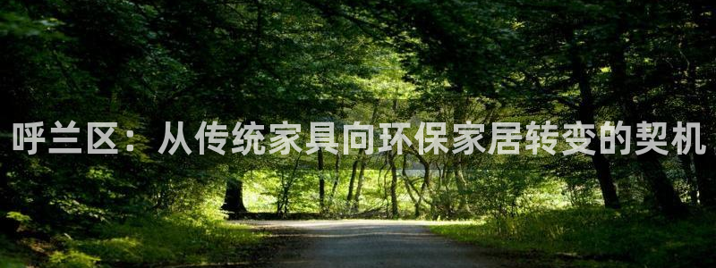 沐鸣2平台代理怎么赚钱的：呼兰区：从传统家具向环保家居转变的