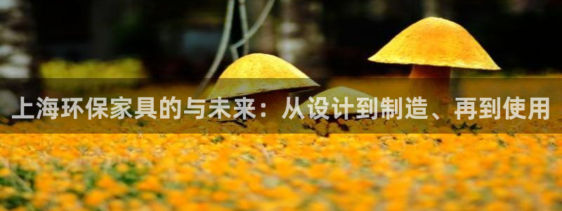 沐鸣2手机网页登录入口：上海环保家具的与未来：从设计到制造、